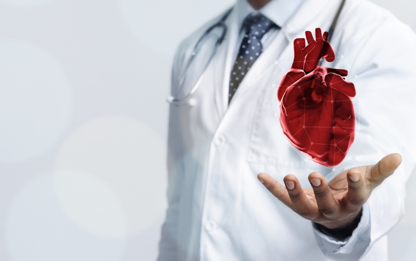 Doctor holding a 3d printed heart in hand
